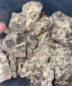 MDMA Canada